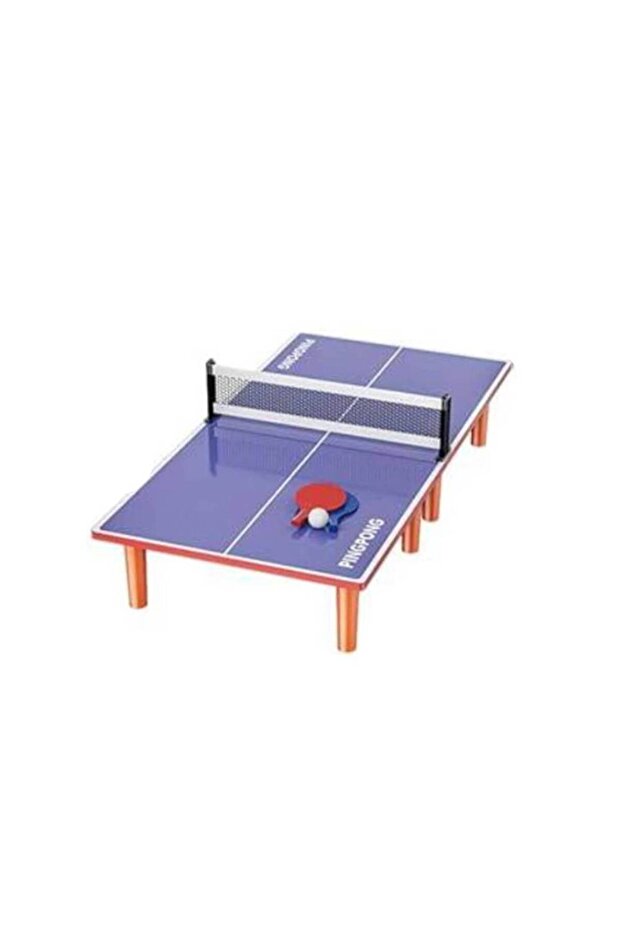 Home Use Table Tennis Table