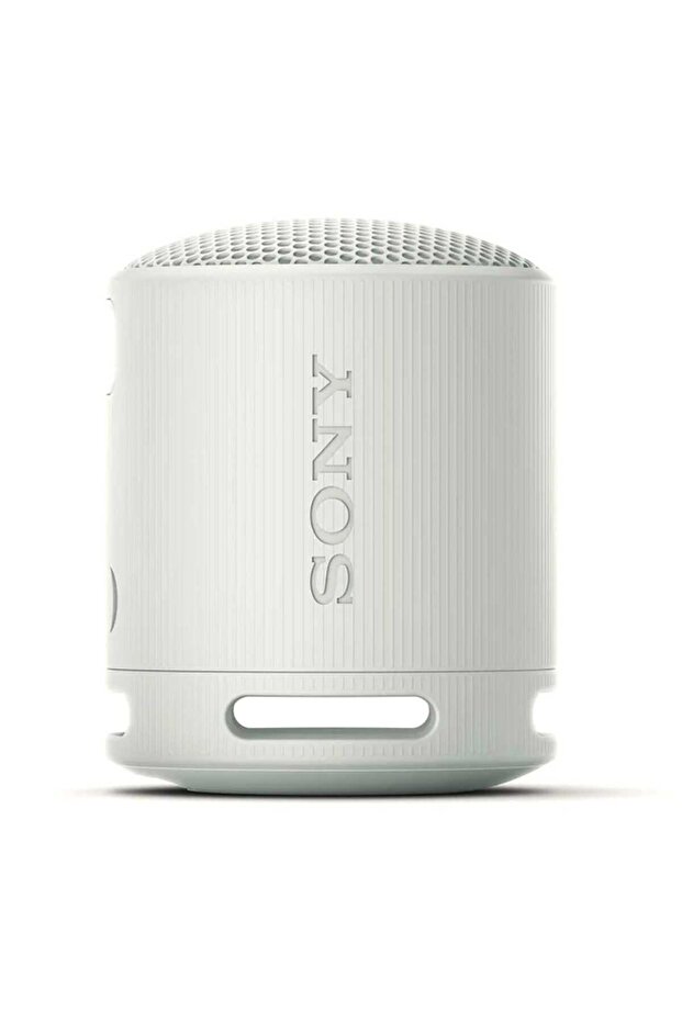 SRS-XB100 Portable Wireless Speaker
