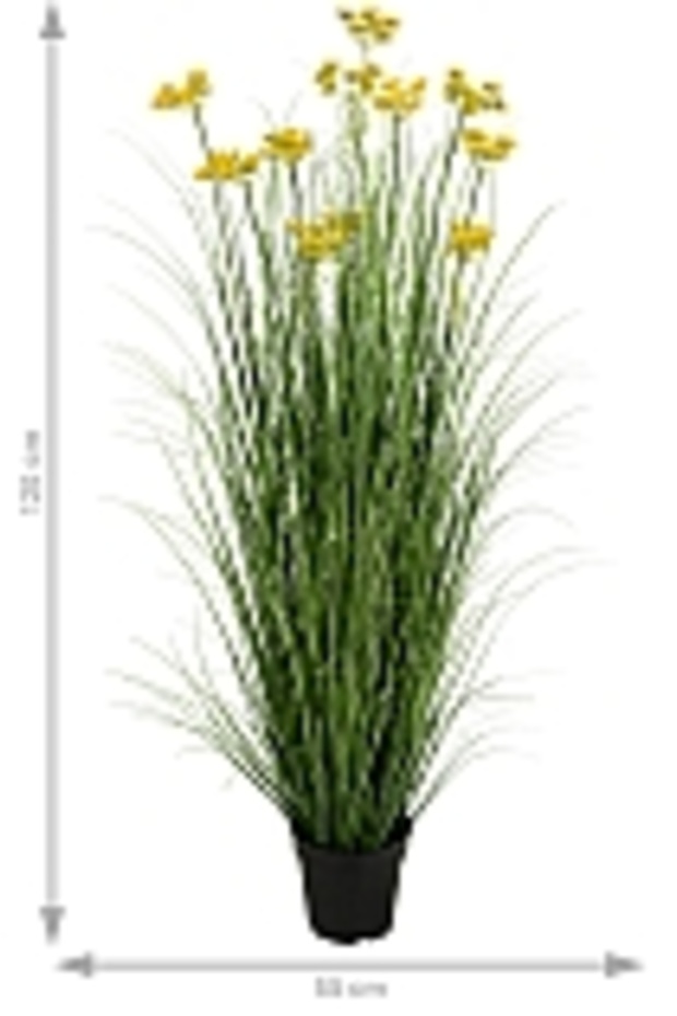 Onion Grass - 5