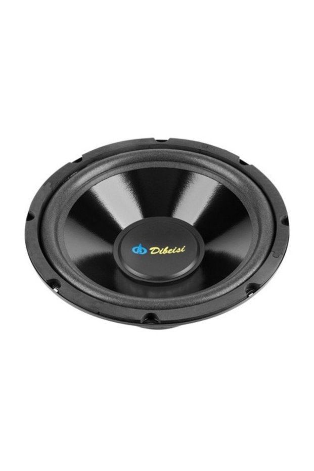 10-inch 8 ohm speaker