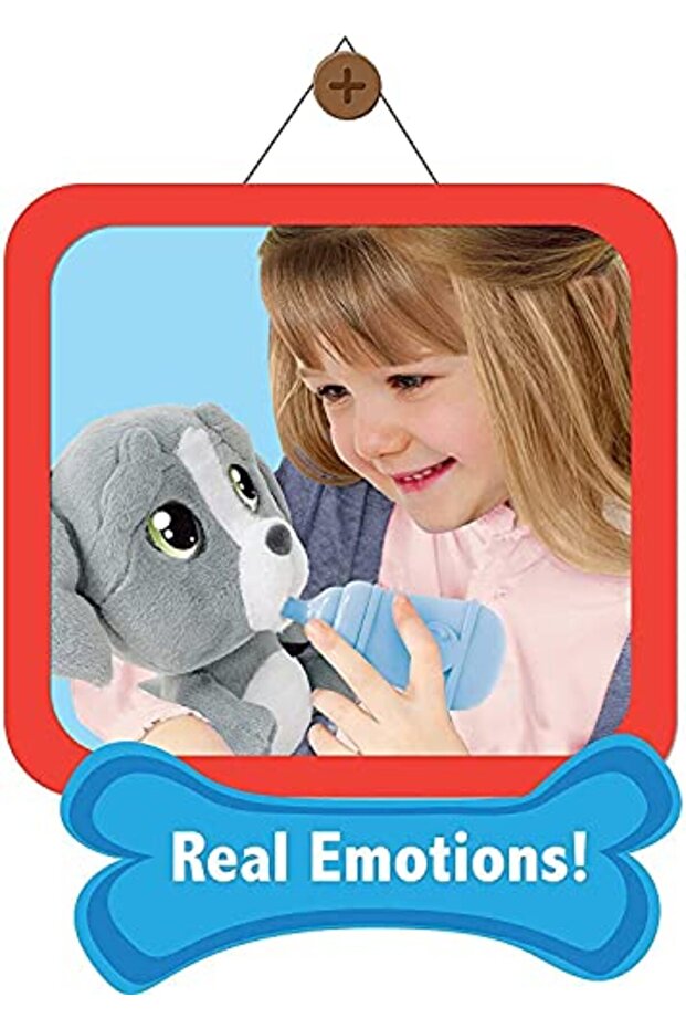 Dog Grey MTC00000 - 4