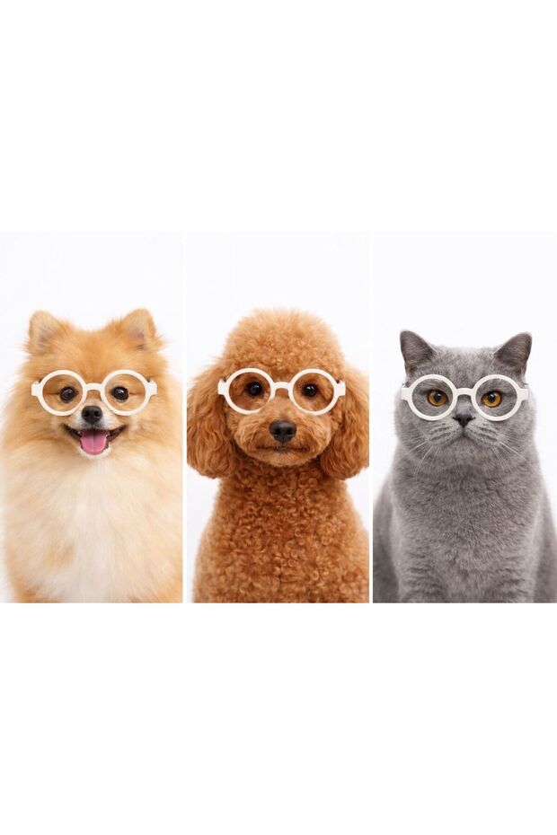 Pet Glasses Cat Dog Clothing Accessory