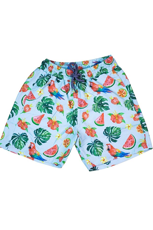 Boy's Light Blue Watermelon Pattern Digital Printed Shorts