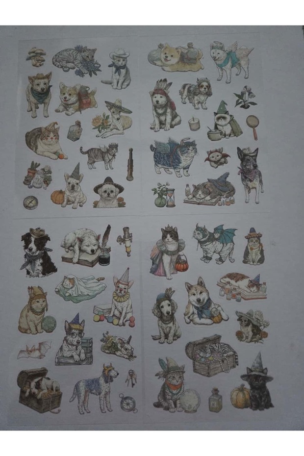 4 أوراق من ملصقات القطط كوبك PET