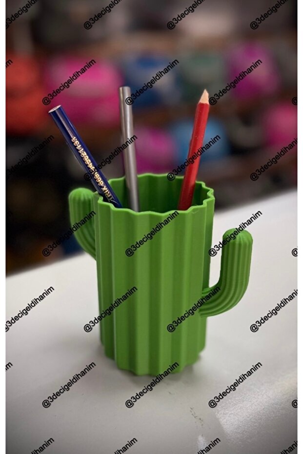 Kaktüs Kalemlik 3D