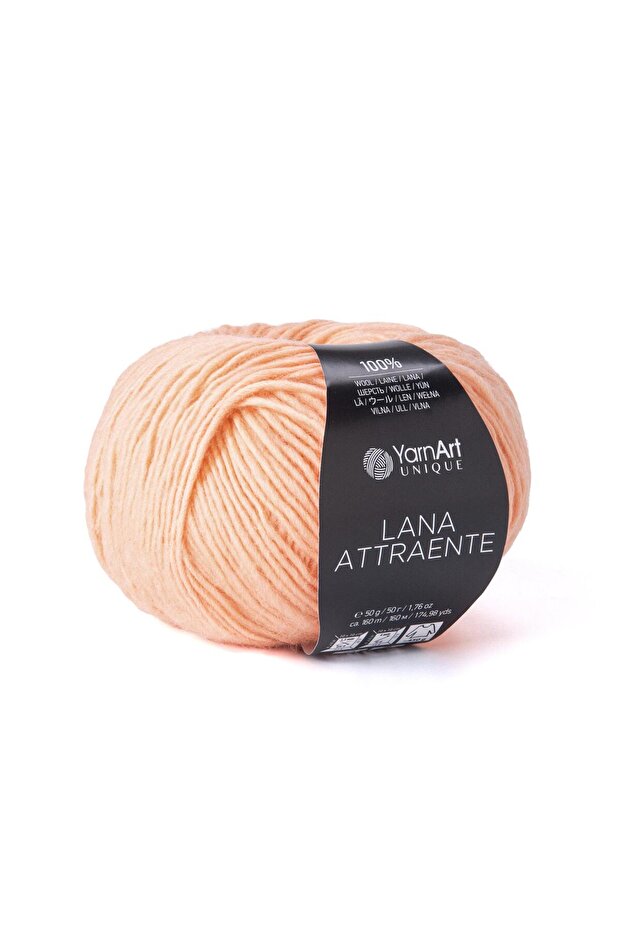 Lana Attraente - Knitting Yarn Yavruağzi-6618
