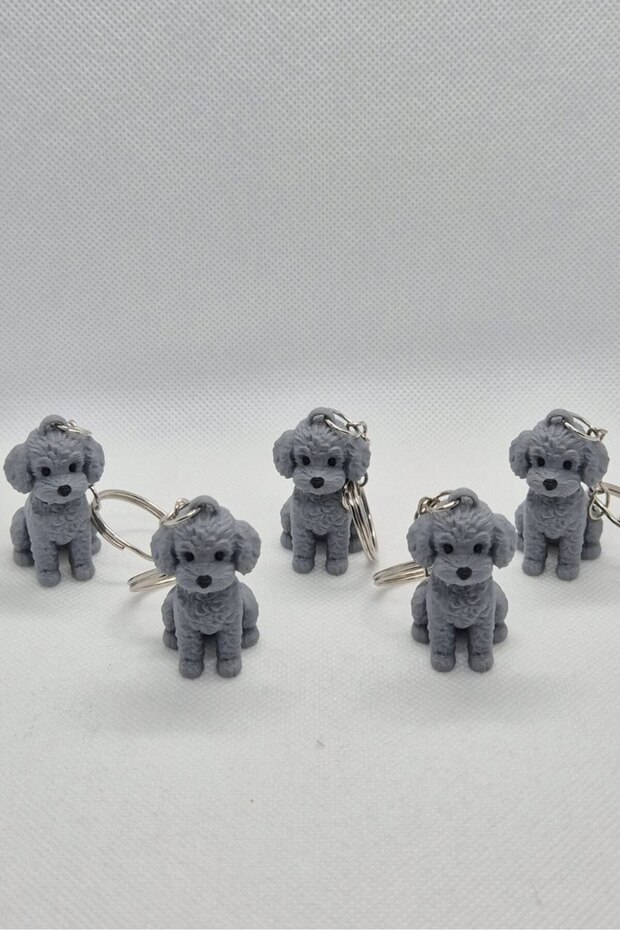 Poddle Dog Keychain