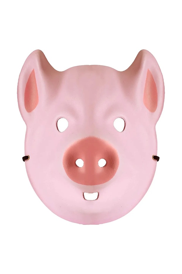 Wild Faces- Pig