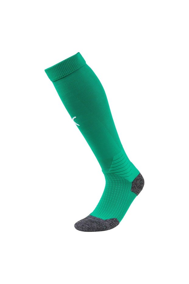 Team LIGA Socks