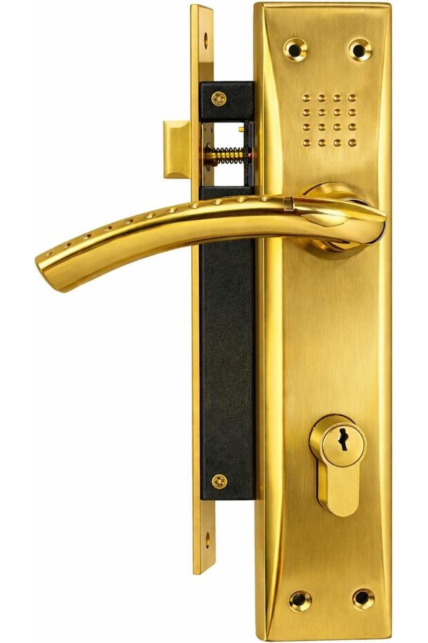 Door Handle Set with Lock, Gold Finish, Lever Style, Includes Keys and Hardware, Mortise Lock