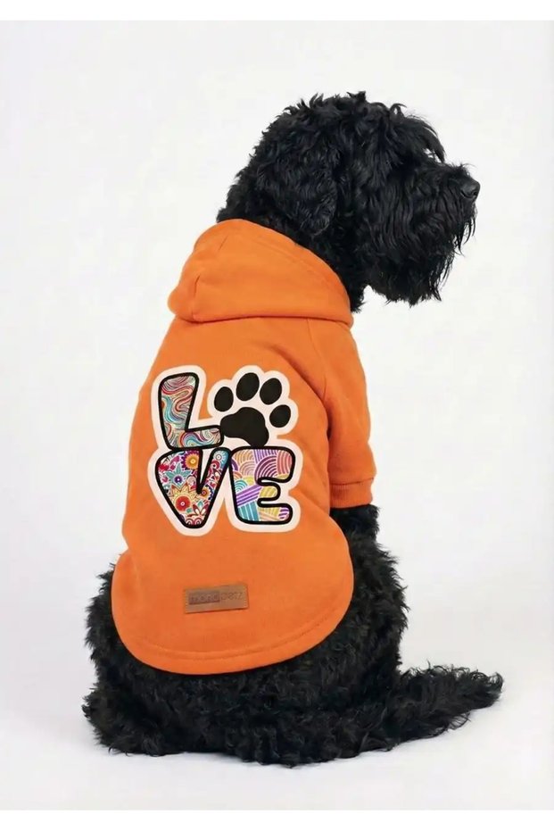 Orange Hoodie Love - Cat and Dog Outfit & Dress