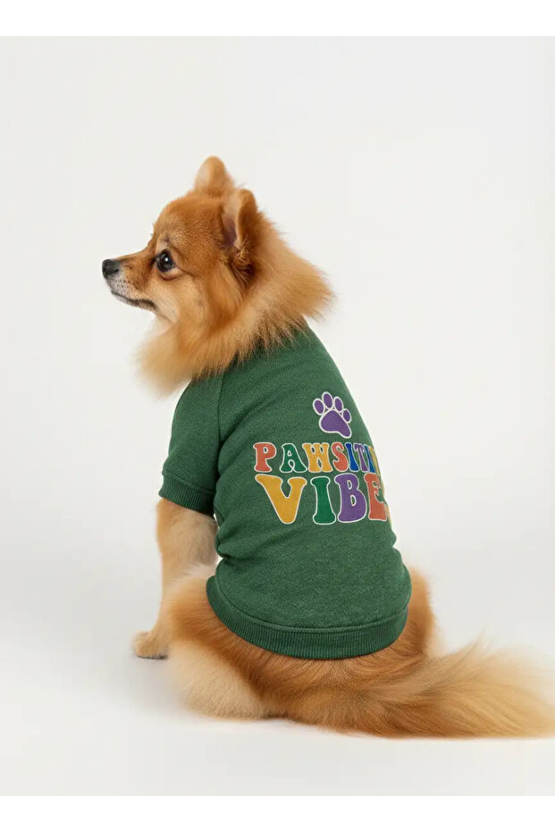 Green Sweatshirt and Dress Cat and Dog Outfit