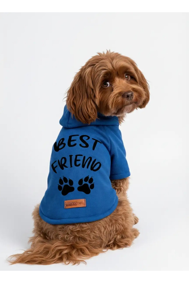 Blue Hoodie - Cat and Dog Clothing & Dress