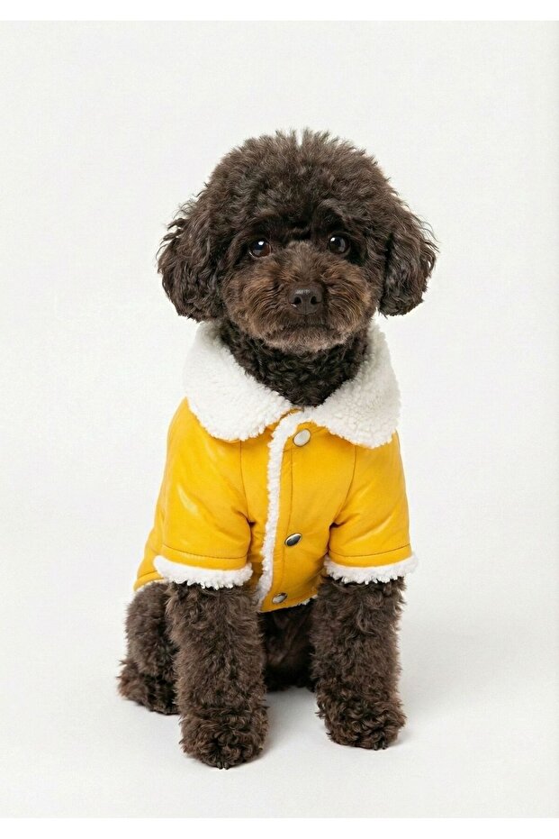 Cat and Dog Outfit & Dress & Jacket & Vest - Yellow Fur Jacket