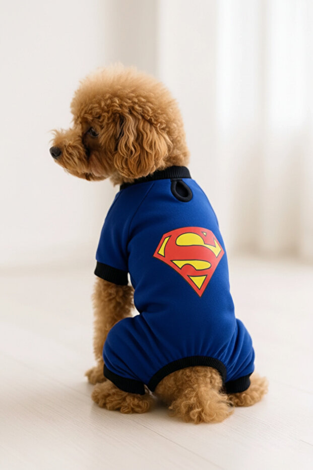 Cat and Dog Outfit & Gown - Cobalt Blue 4 Leg Jumpsuit Superman