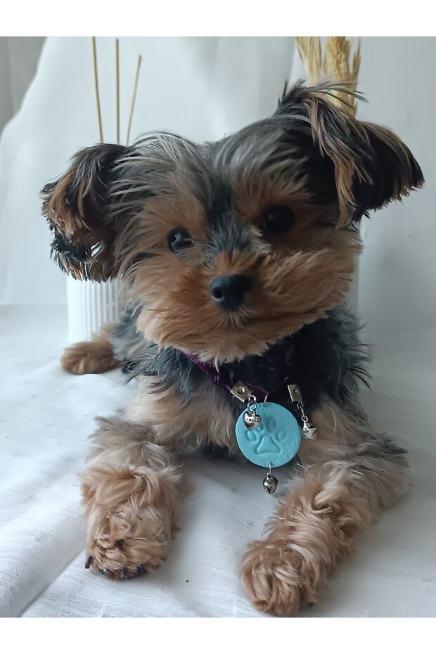Blue Polymer Clay Paw Dog Cat Bell Collar Small Breed Pet Paw Purple Velvet Ribbon Necklace