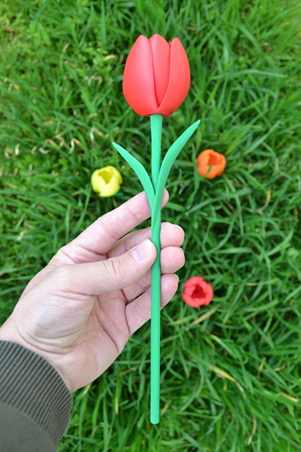 3d Tasarım Lale