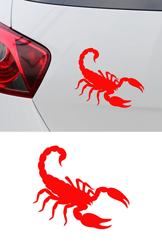 Scorpion Car Sticker - Aggressive Design Vehicle Sticker - Motor Sticker 15X13Cm