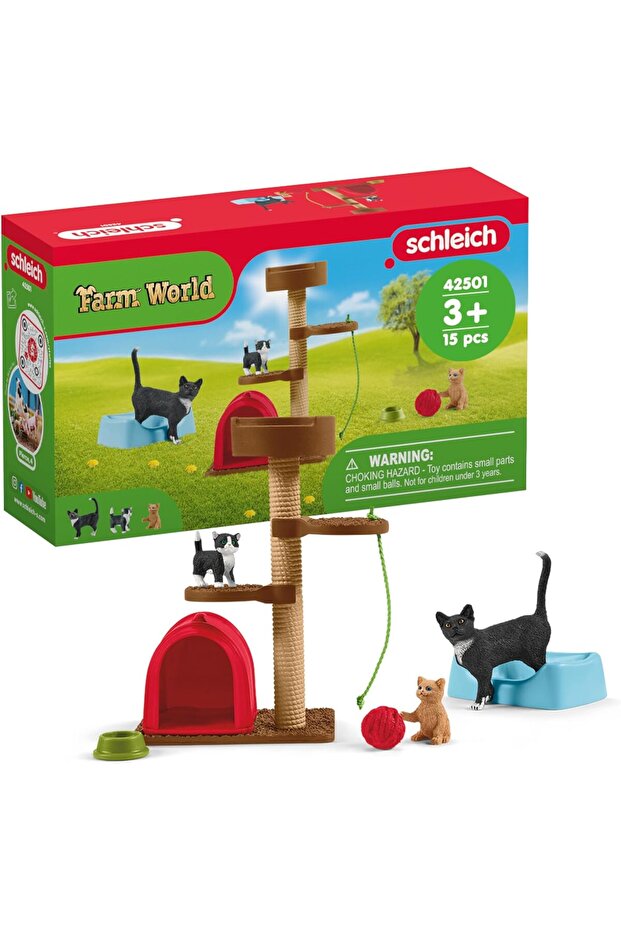 Playtime For Cute Cats 42501