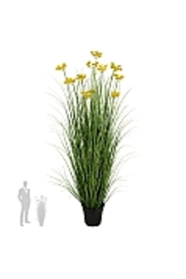 Onion Grass - 4