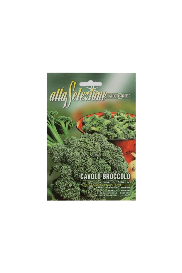 Seeds Broccoli - 5