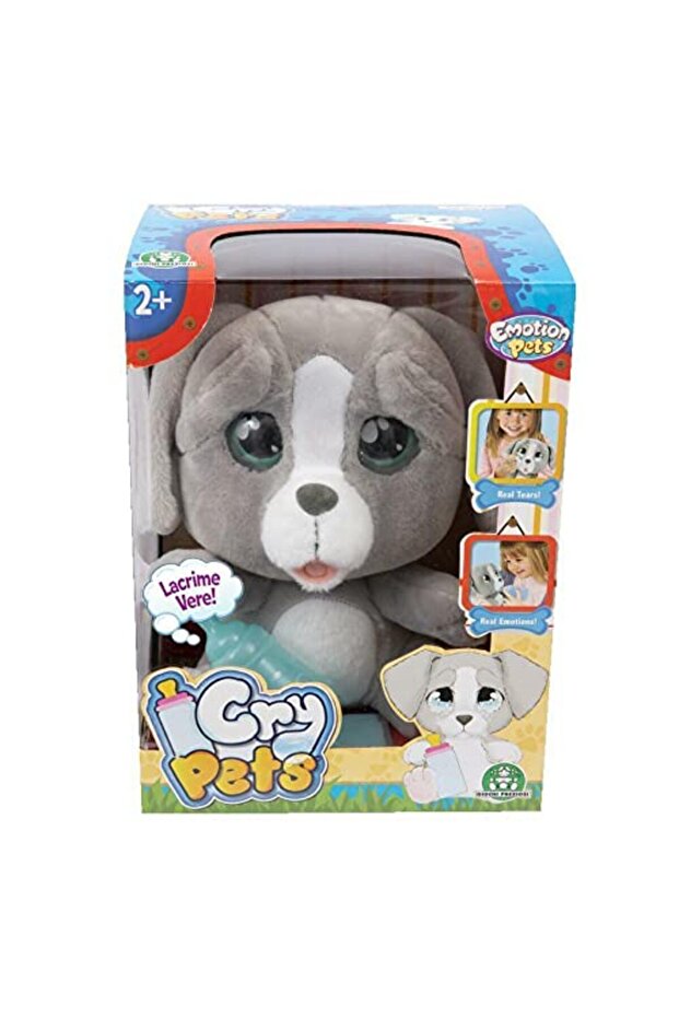 Dog Grey MTC00000 - 2
