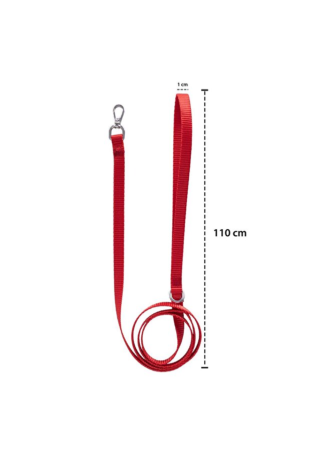 Solid Color Leash