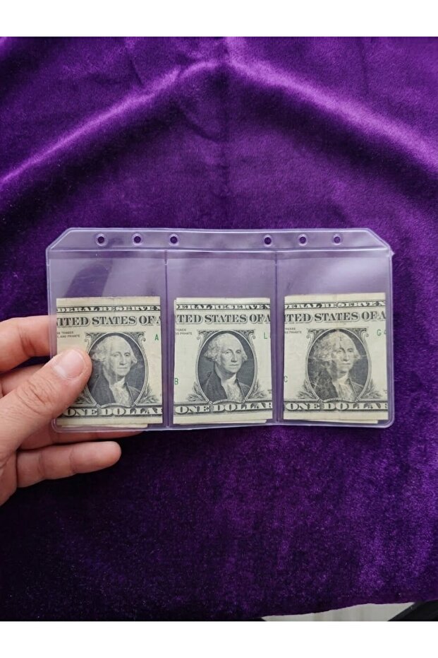 Ziplock File – Transparent Zippered File, 3-Compartment File