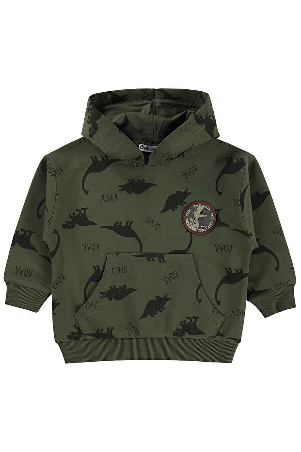 Dinosaur Walk Emp.Labeled Sweatshirt for 2-5 Years Old - Khaki