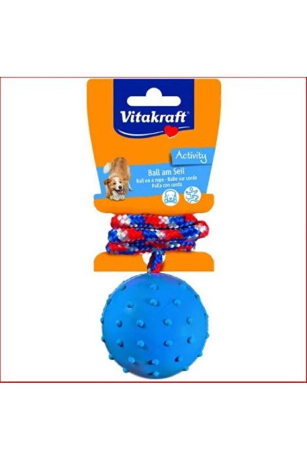 Rubber Ball Dog Toy