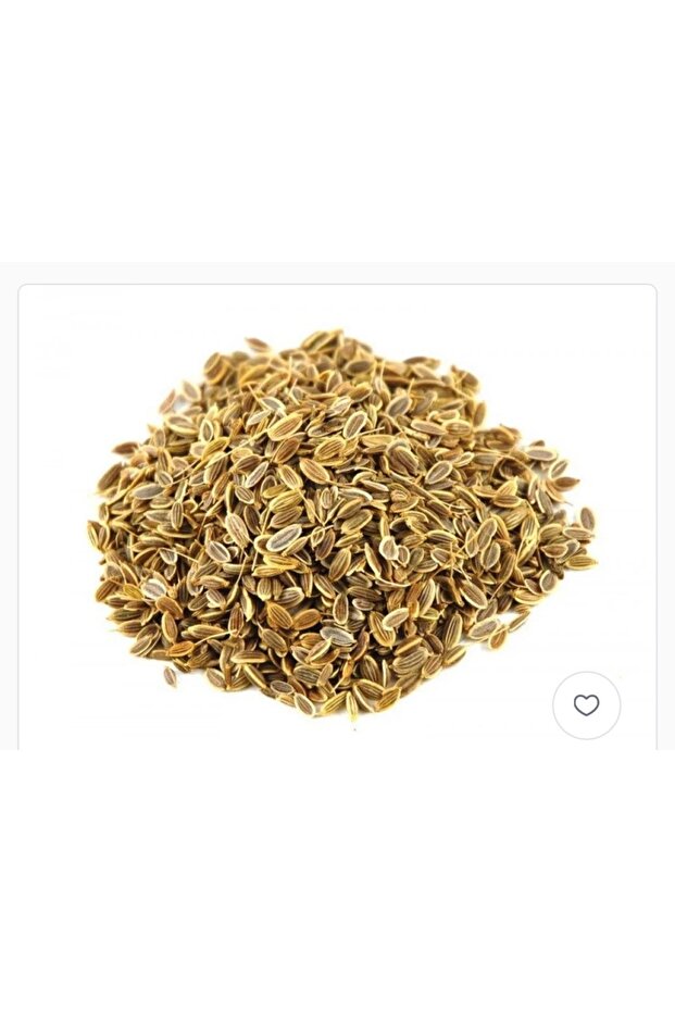 بذور الشبت العضوي 100%