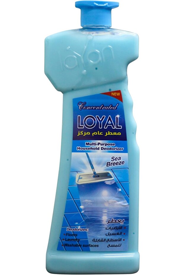 Concentrated Multi-Purpose Deodorizer 2100 ml