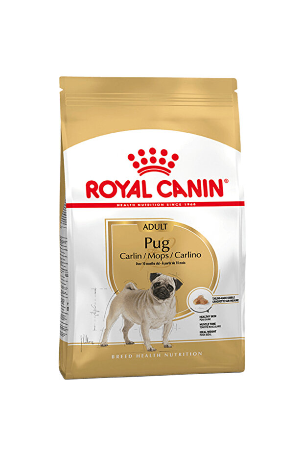 - Pug Adult / 1.5 KG