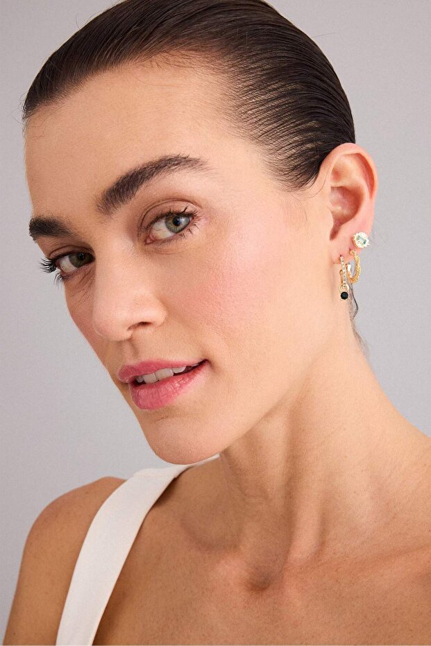 Women's 12-Piece Earrings Set H1756Axns