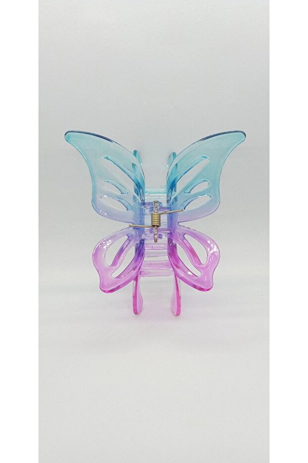 Butterfly Latch Buckle Color-4
