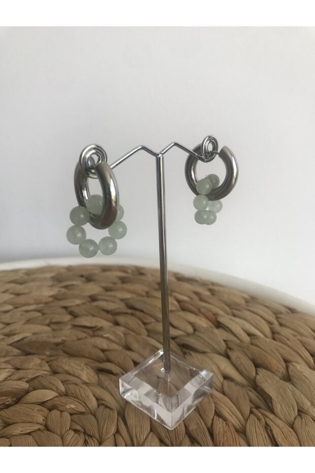 Steel Earrings