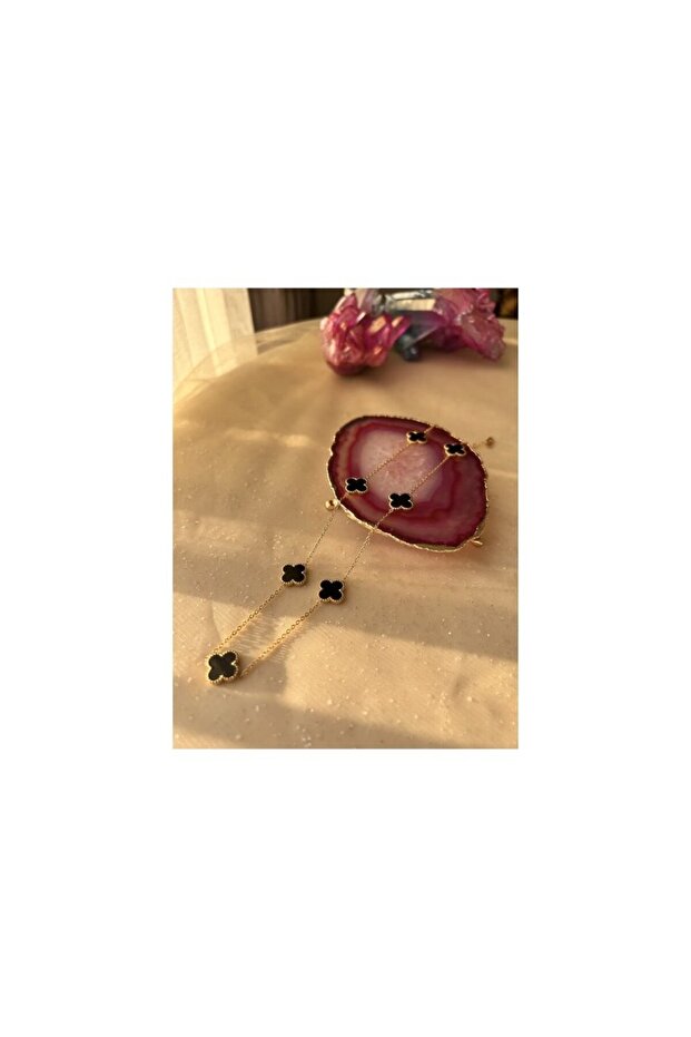 Steel necklace