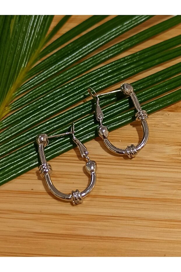 Silver Color Luxury Flashy Figured Earrings