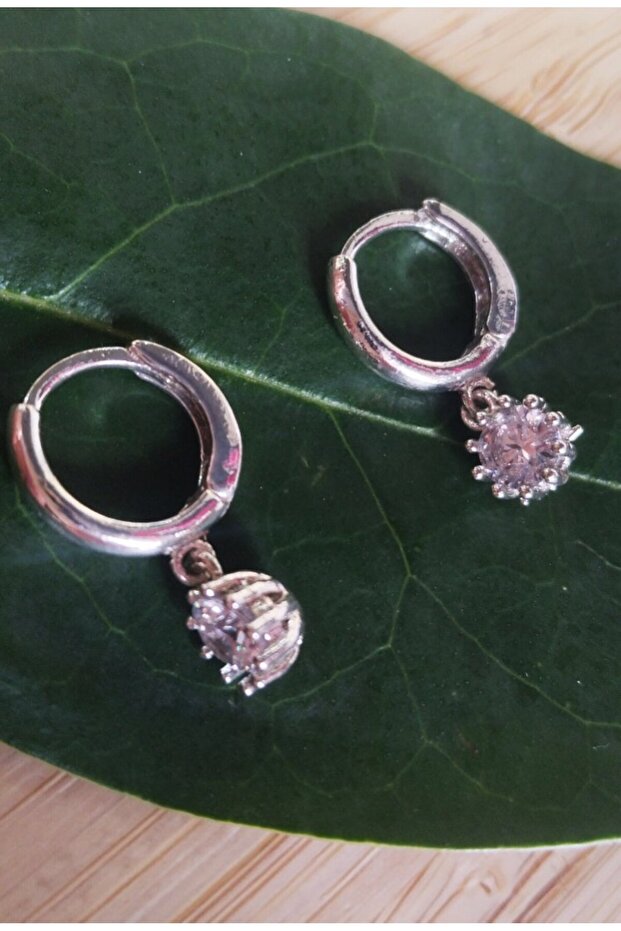 Silver Color Luxury Flashy Figured Earrings