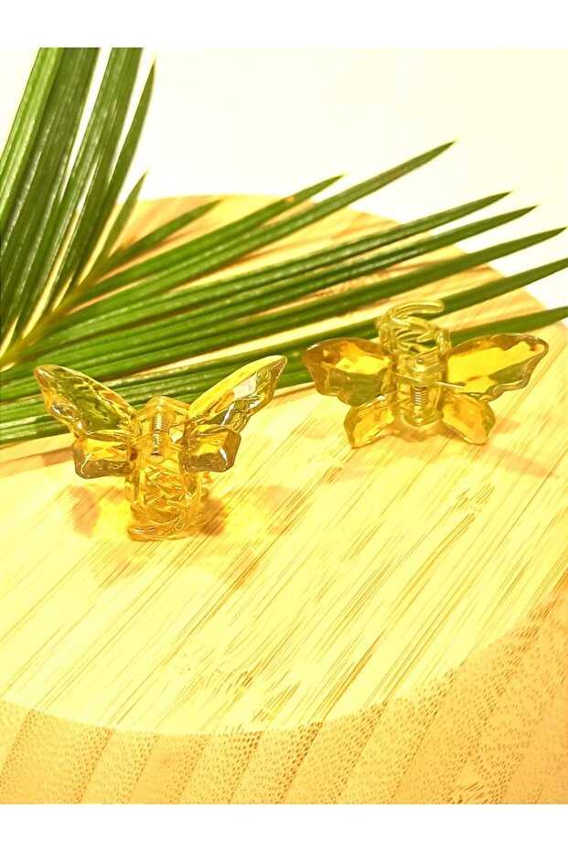 2 Li 4.5 cm Colorful Luxury Butterfly Buckle