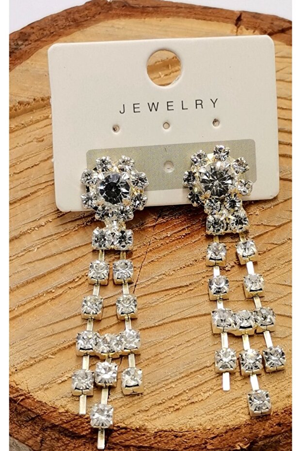 Steel Luxury Design Earrings