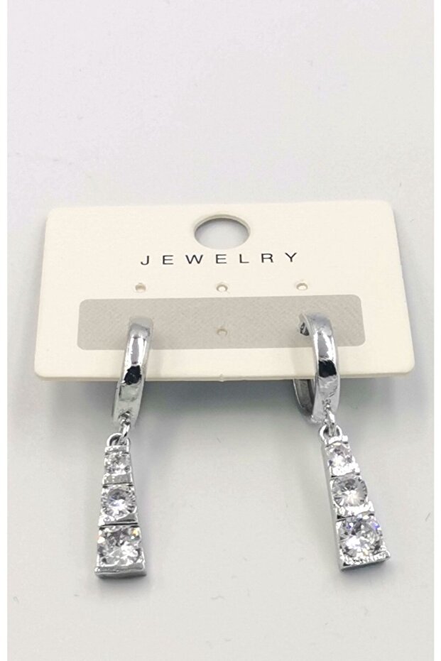 Colorful Steel Figured Luxury Design Earrings