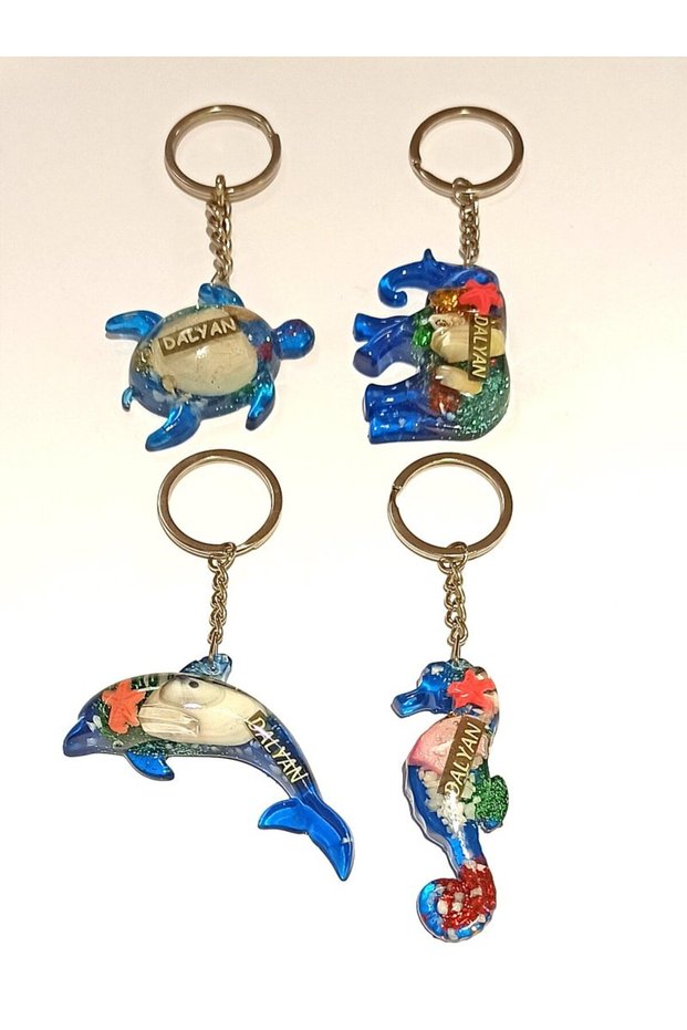 4 Different Model Patterned Cultural Blue Color Keychains