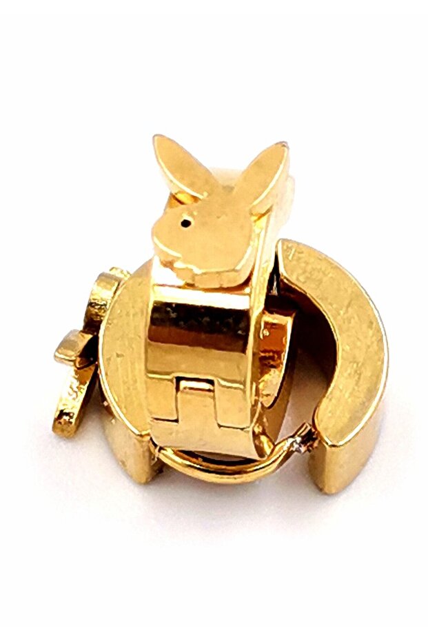 316 L Steel Gold Color Unisex Figured Earring