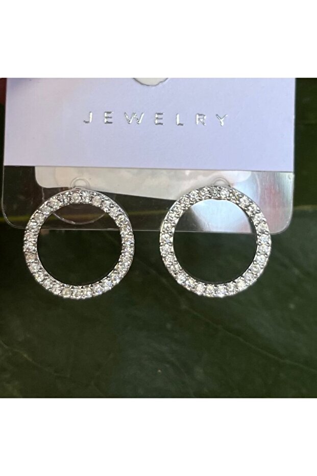 Silver Color Luxury Flashy Circle Figured Earrings