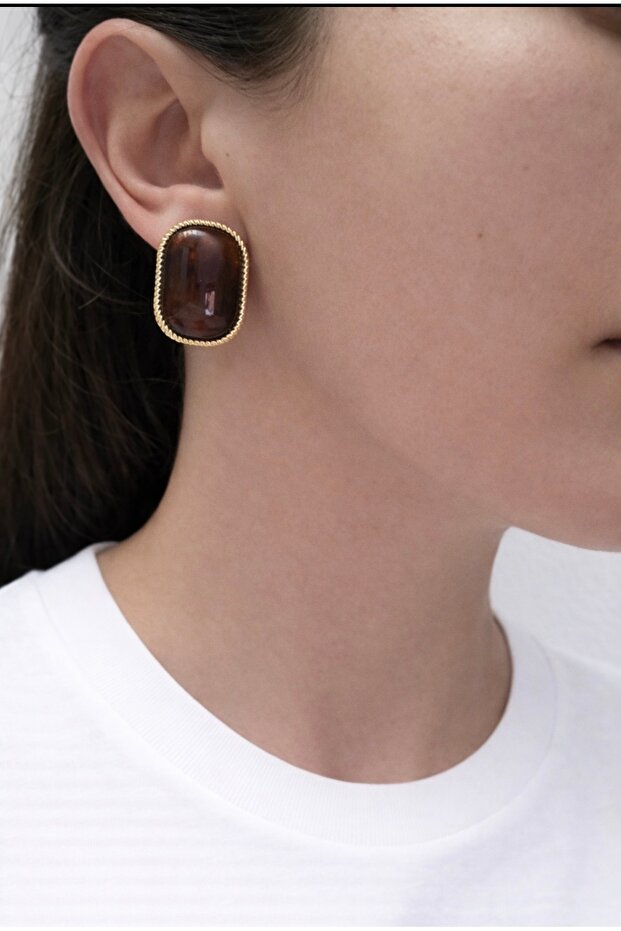 Amber Look Brown Single Stone Frame Detail Steel Earrings