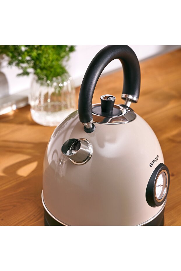 Turtle Kettle Beige - 4