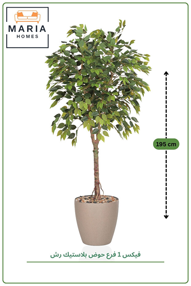 شجرة تين صناعية بارتفاع 195 سم ذات جذع واحد مع وعاء - نبات زينة داخلي