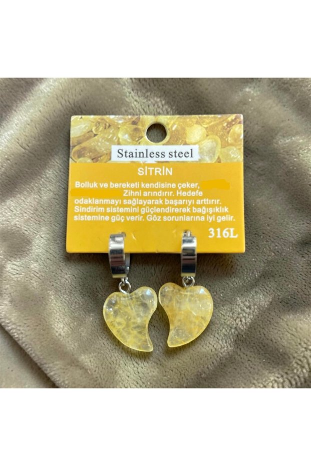Citrine Natural Stone Earrings with Steel Apparatus