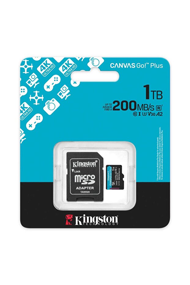 1 Tb Sdcg4/1 Tb Canvas Go Plus Microsd Gen4 200Mb/S